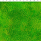 Safari Digital Spots & Dots (Green)