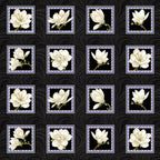 Quilting panel with 24 blocks of cream magnolia flowers framed on a black background