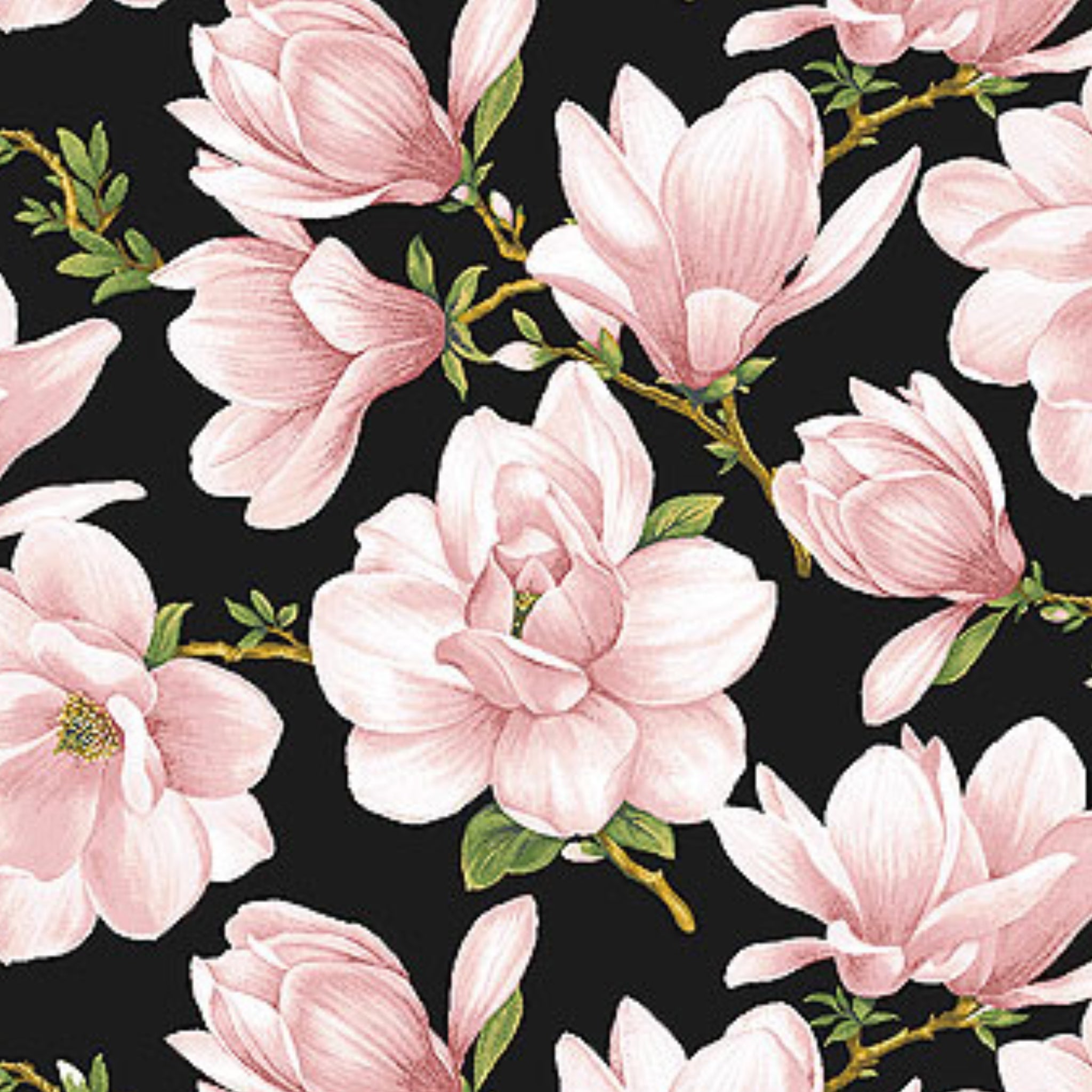 Large blush pink magnolia blossoms repeating on a black background for quilting
