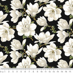 White magnolia flowers with green leaves on a black background with a ruler at the bottom.