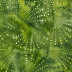 Radiating dots arcs green batik quilting fabric blender for patchwork quilts and sewing projects