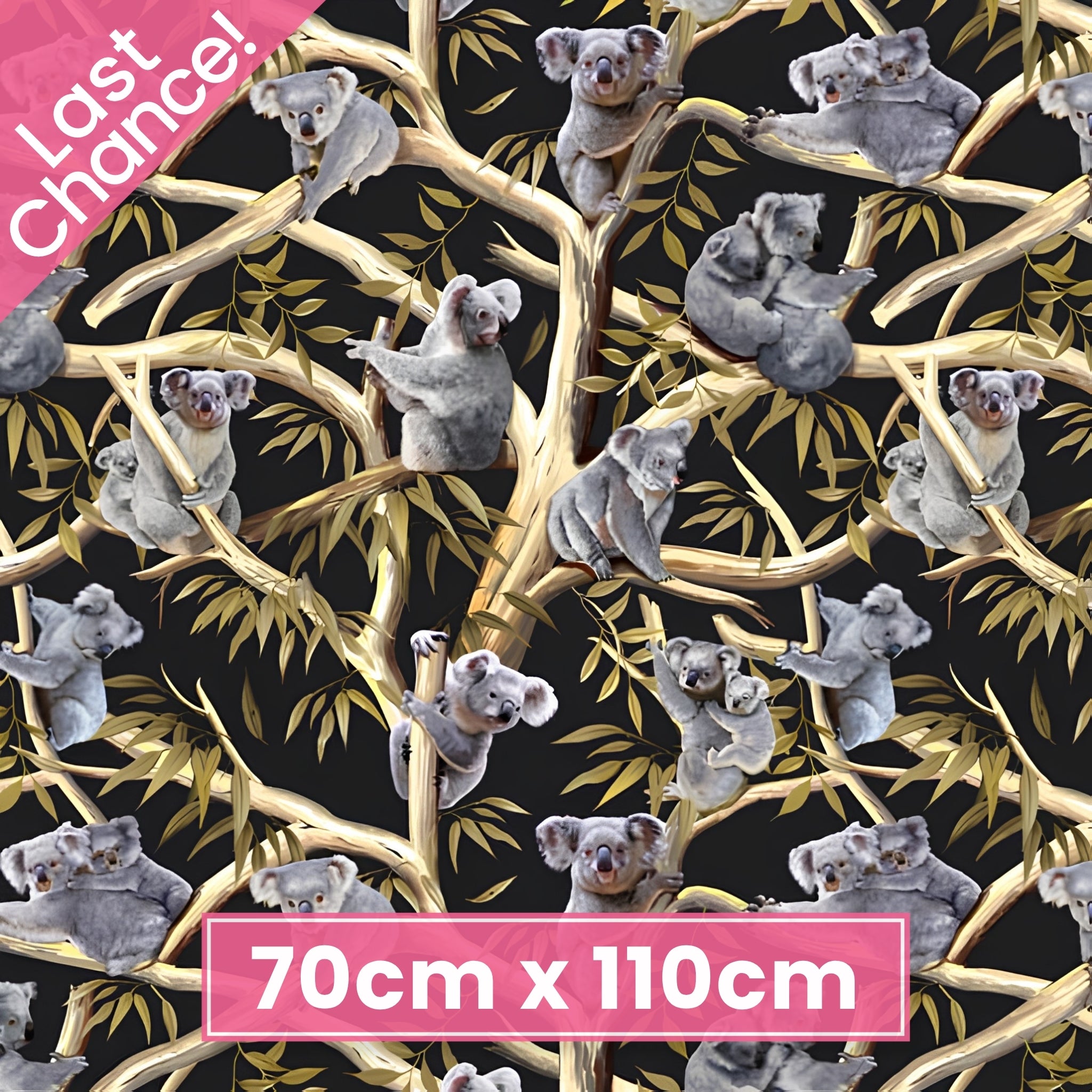 Realistic koalas eucalyptus gum trees golden branches black fabric for Australian themed quilts wildlife gifts and flora fauna patchwork sewing projects