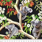 Realistic koalas eucalyptus trees red white gumnut blossoms green leaves black fabric for Australian themed quilts wildlife gifts and flora fauna patchwork sewing projects
