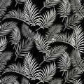 Fern fabric botanical print black background cotton for Australiana quilting patchwork native flora design