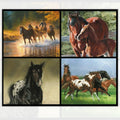 Horse panel digitally printed mare foal appaloosa wild horses fabric for cushion covers wall hangings and horse-themed projects