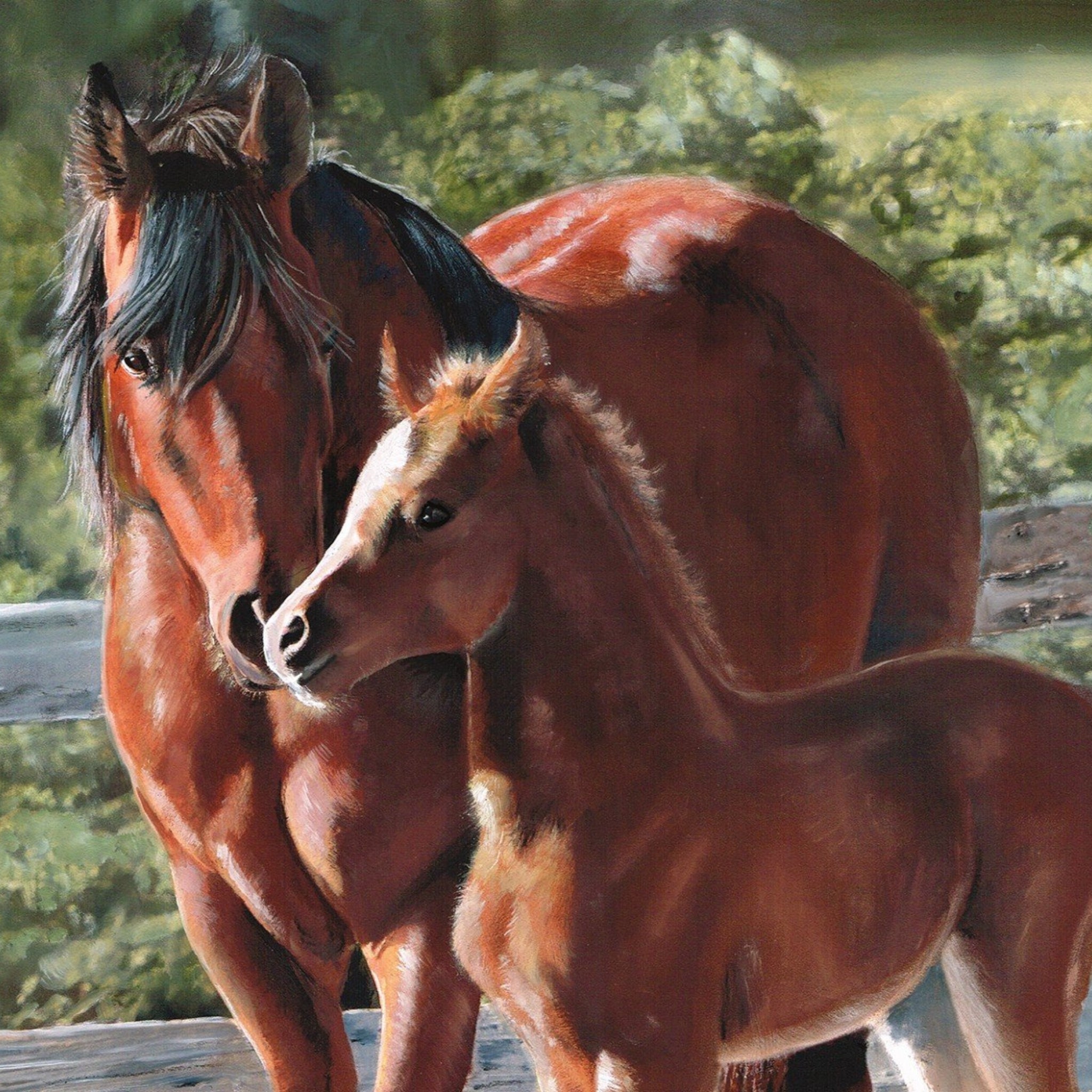 Horse panel digitally printed mare foal quilting fabric for cushion covers wall hangings and horse-themed projects