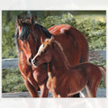 Horse panel digitally printed mare foal horses fabric for cushion covers wall hangings and horse-themed projects