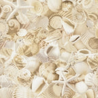 Packed seashells scallops spiral shells conch starfish sand dollars cream white beige natural coastal quilting fabric beach quilts seaside projects