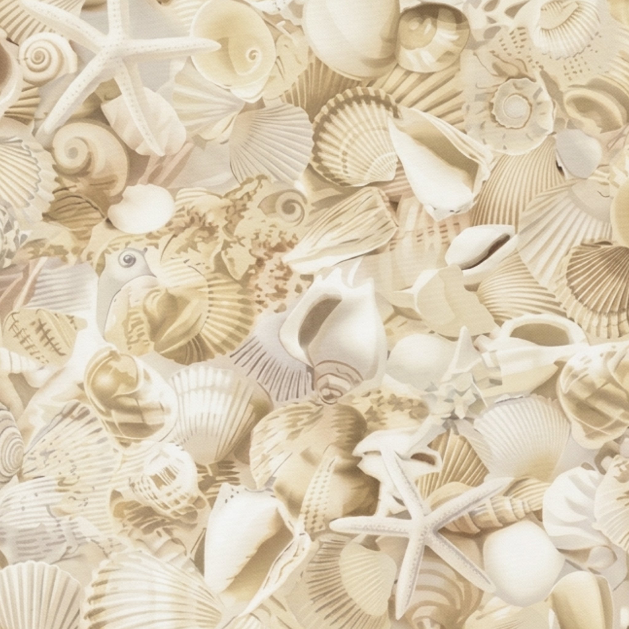 Packed seashells scallops spiral shells conch starfish sand dollars cream white beige natural coastal quilting fabric beach quilts seaside projects