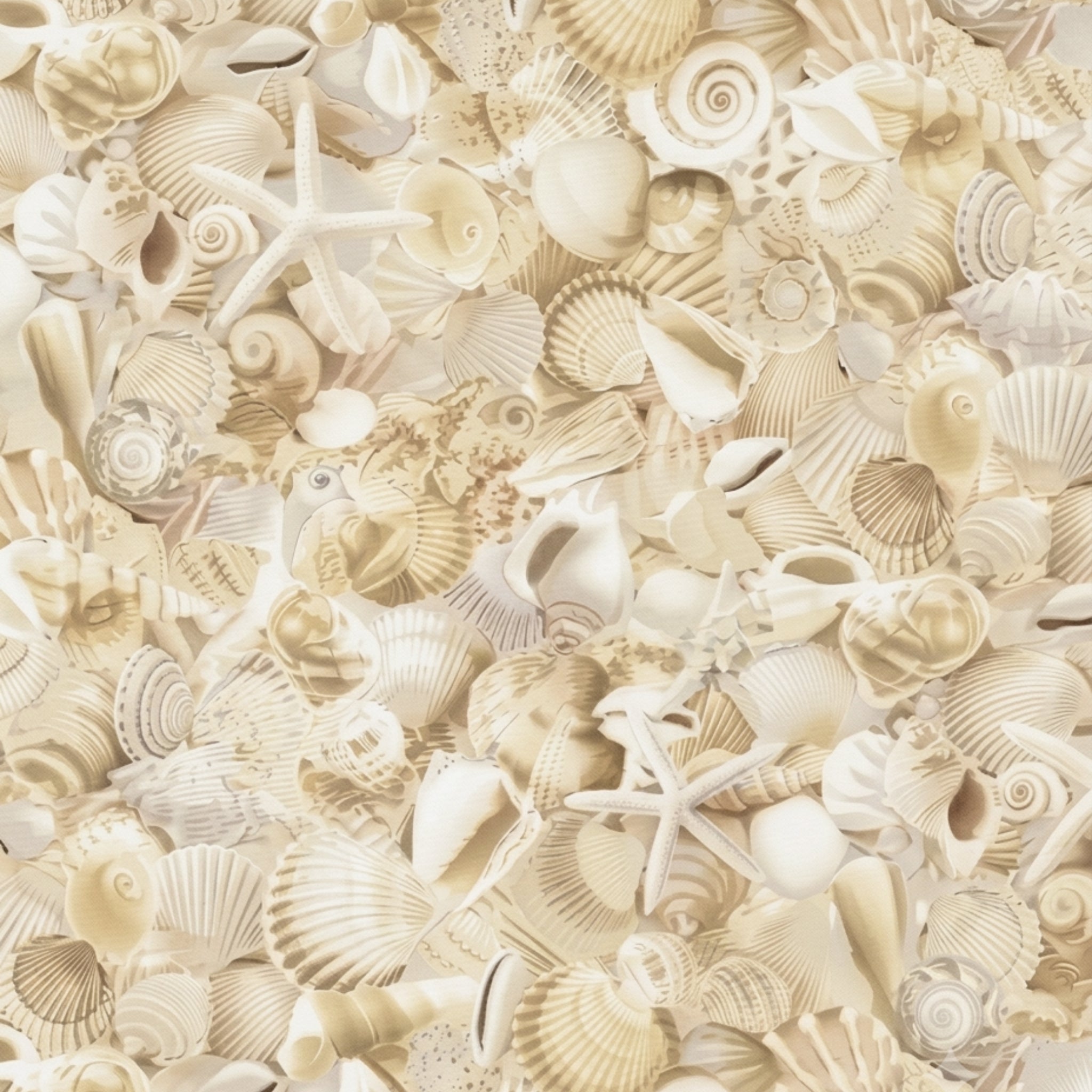 Packed seashells scallops spiral shells conch starfish sand dollars cream white beige natural coastal quilting fabric beach quilts seaside projects