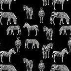 Zebra allover print black white quilting cotton fabric for animal quilts boys bedroom projects and wildlife gifts