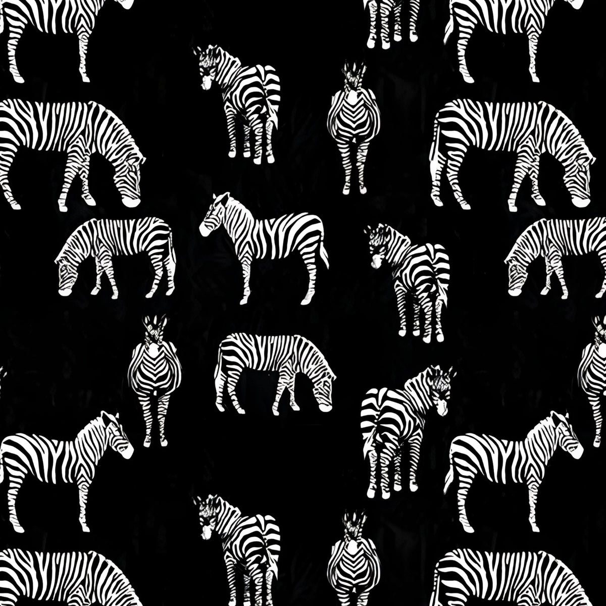 Zebra allover print black white quilting cotton fabric for animal quilts boys bedroom projects and wildlife gifts