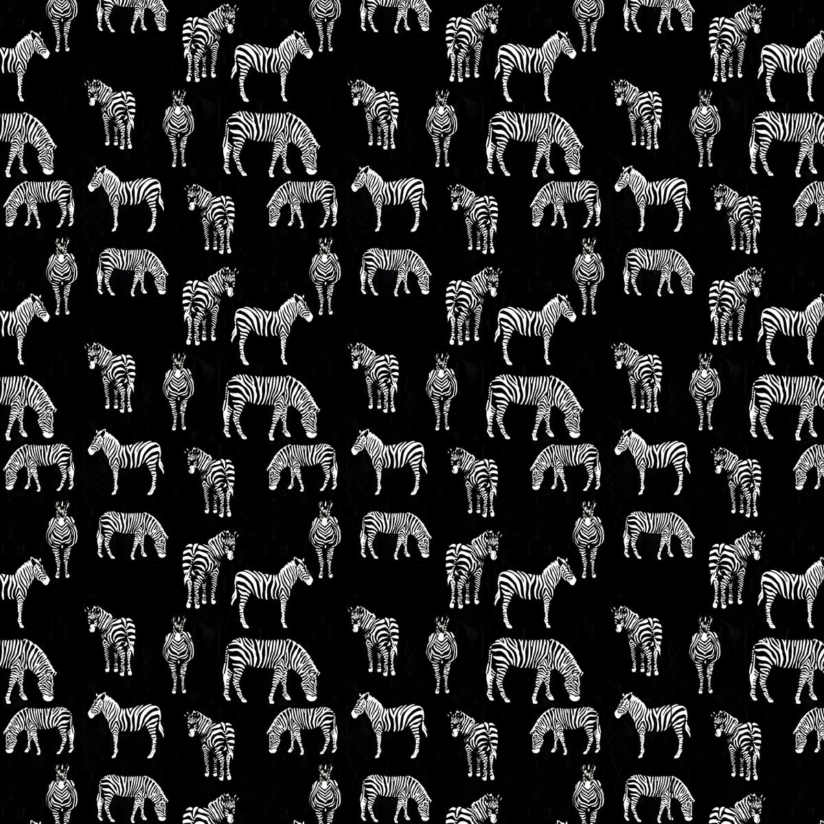 Zebra allover print black white quilting cotton fabric for animal quilts boys bedroom projects and wildlife gifts