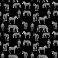 Zebra allover print black white quilting cotton fabric for animal quilts boys bedroom projects and wildlife gifts
