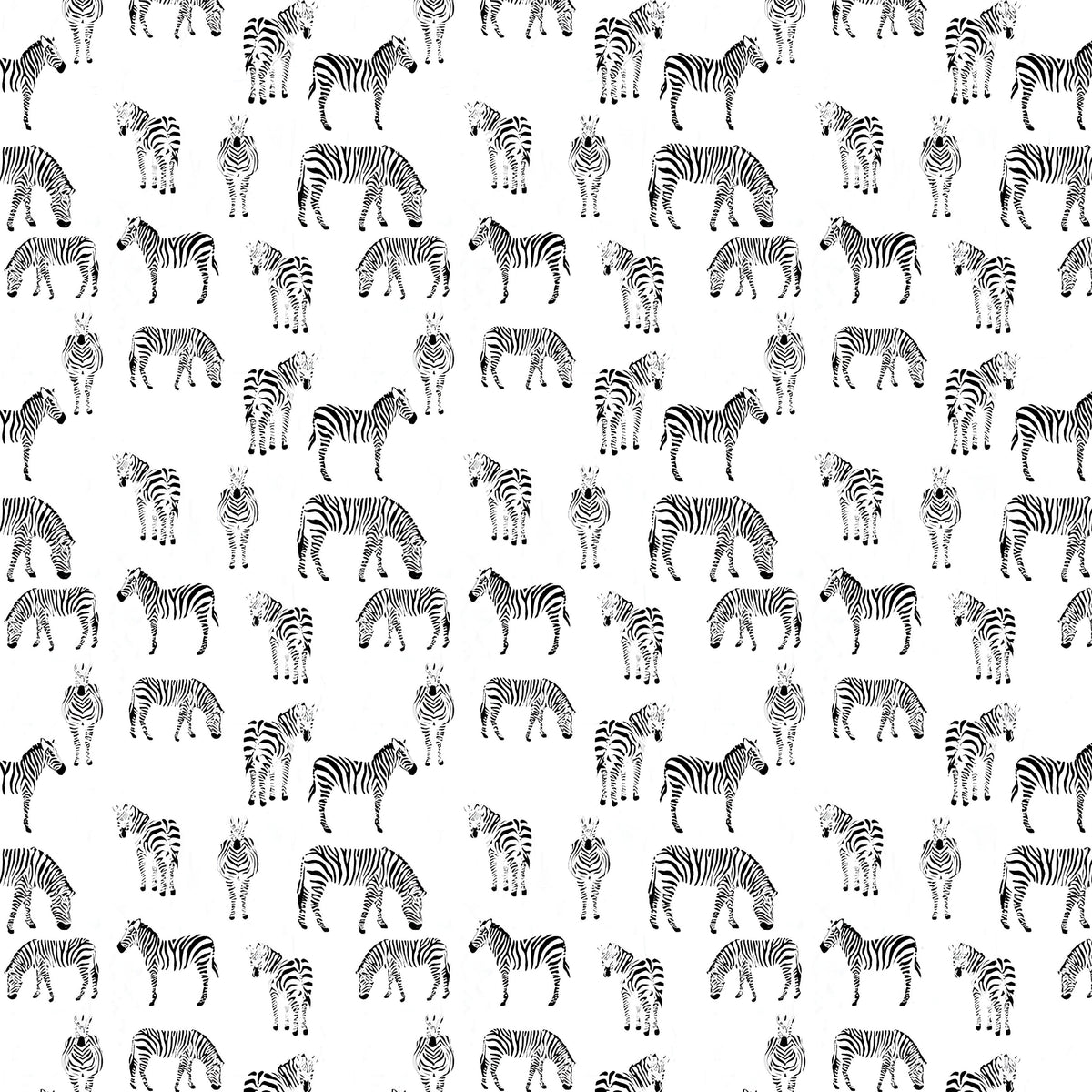 Zebra allover print black white quilting cotton fabric for animal quilts boys bedroom projects and black white quilts