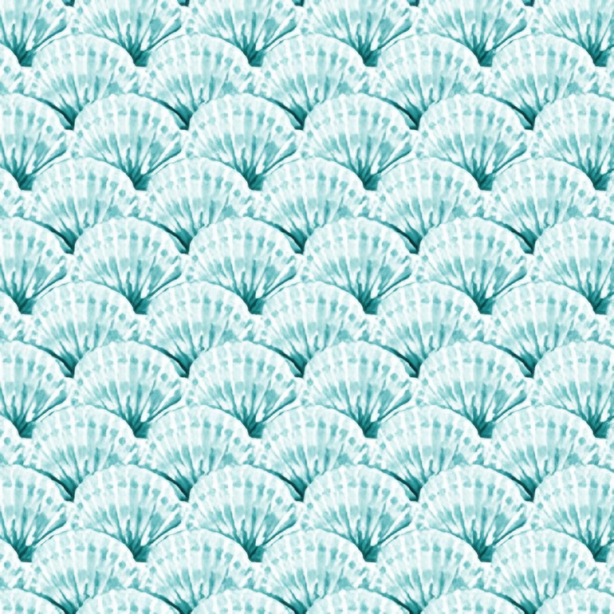 Fan-shaped clam scallop shells aqua white beach quilting fabric coastal ocean projects