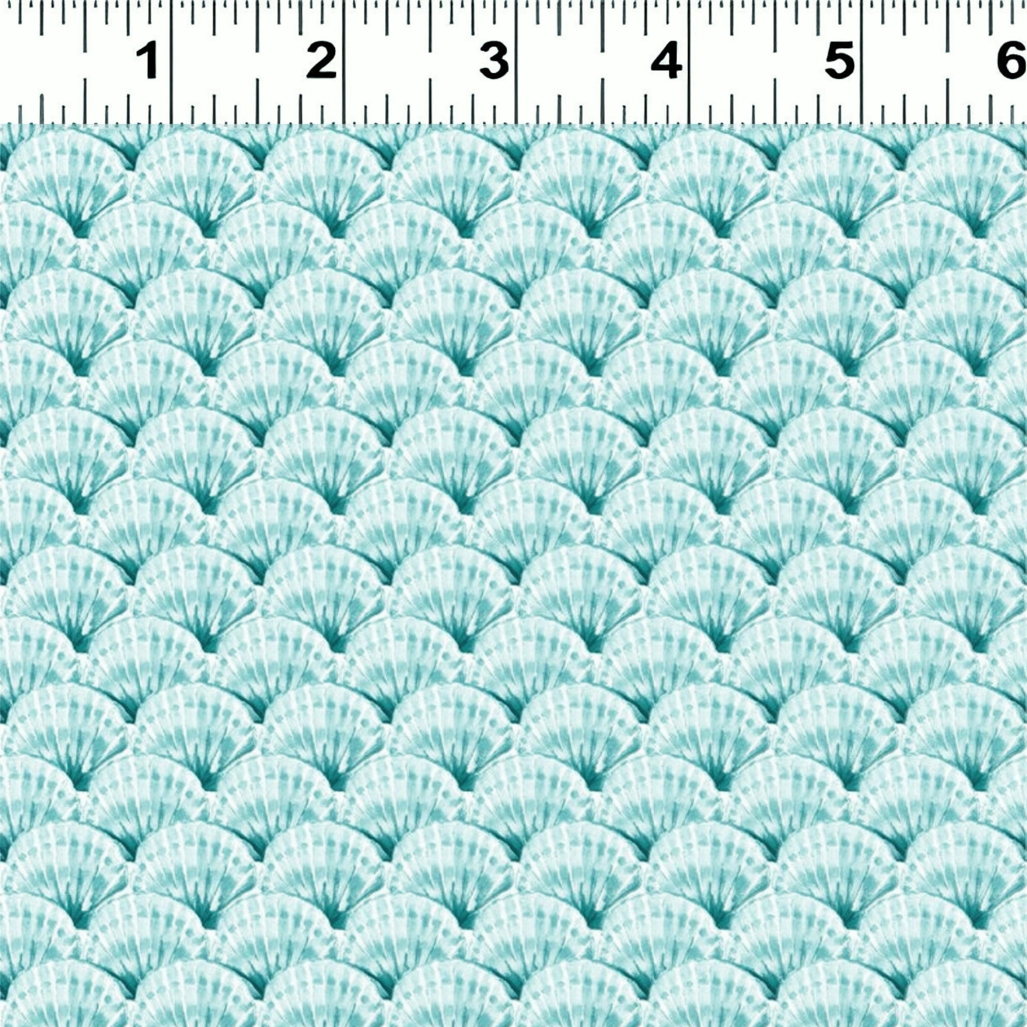 Fan-shaped clam scallop shells aqua white beach quilting fabric coastal ocean projects
