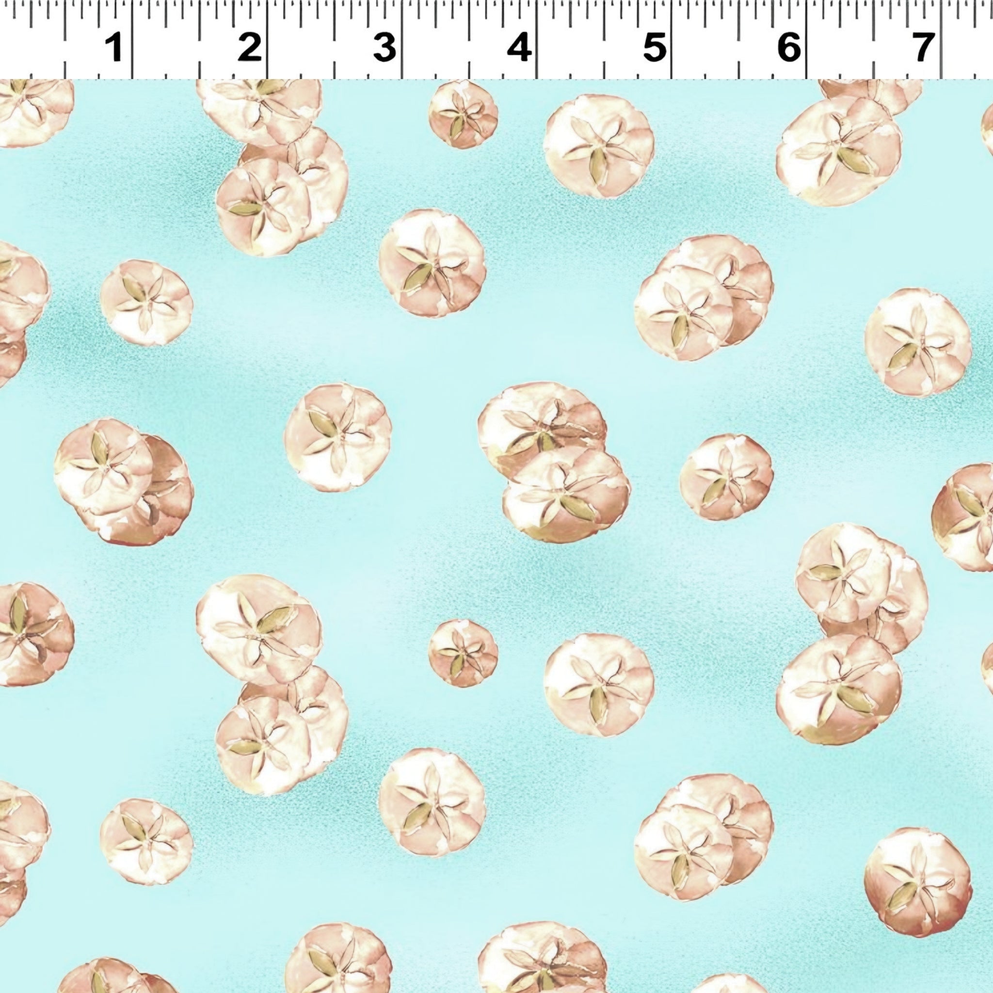 Cream sand dollar shells aqua blue beach quilting fabric coastal seaside ocean projects