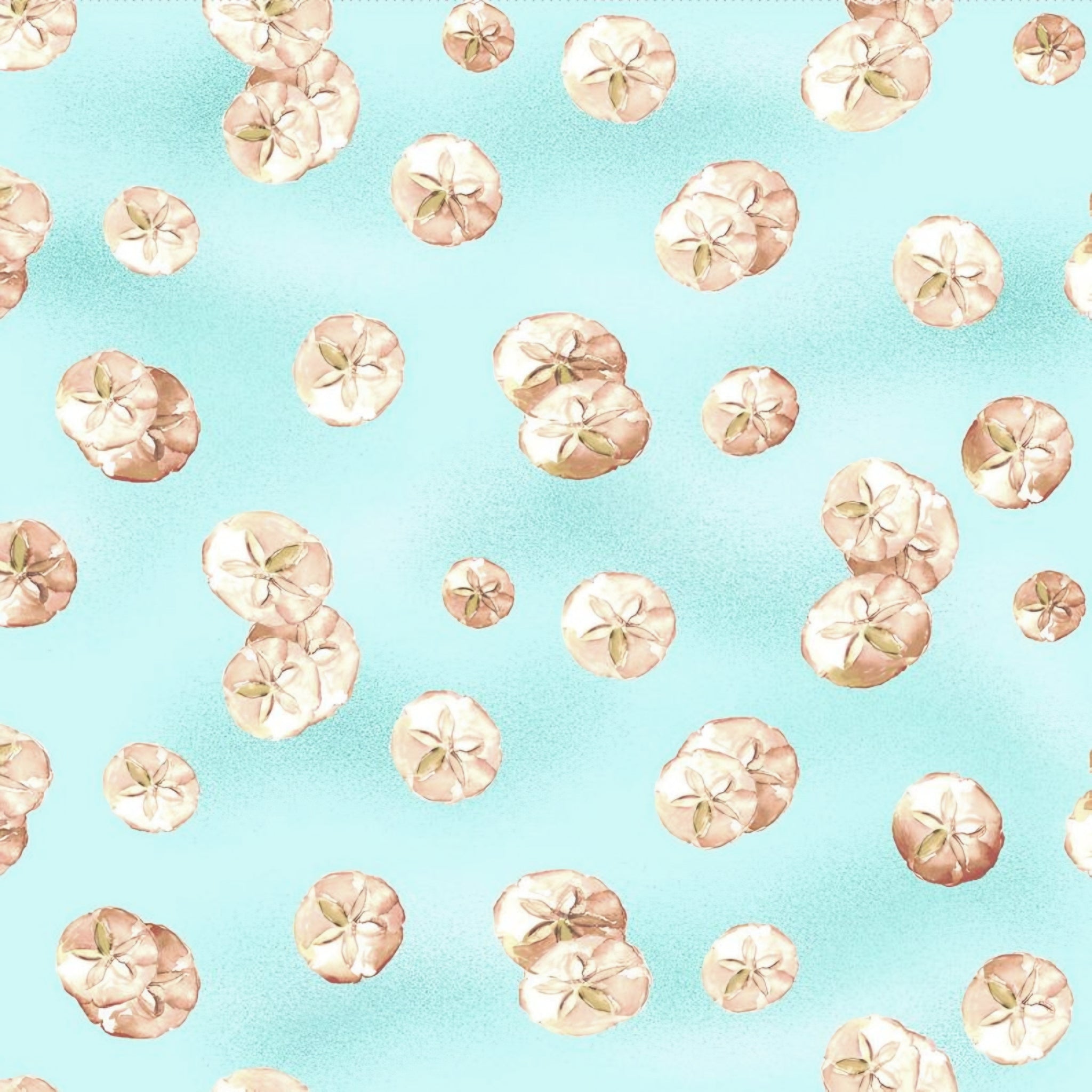 Cream sand dollar shells aqua blue beach quilting fabric coastal seaside ocean projects