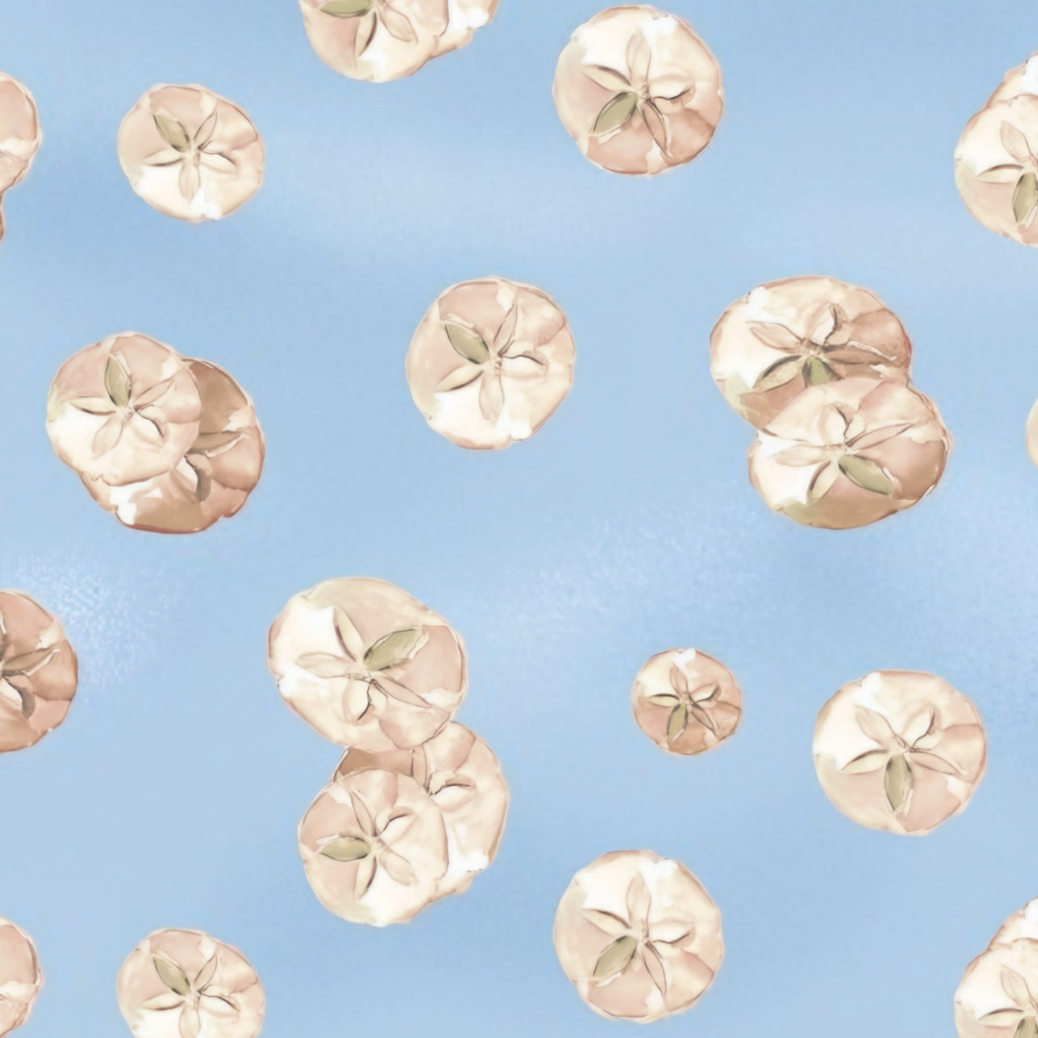 Cream sand dollar shells light blue beach quilting fabric coastal seaside ocean projects