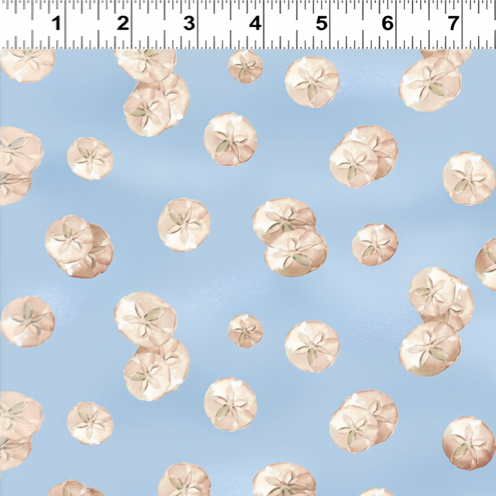 Cream sand dollar shells light blue beach quilting fabric coastal seaside ocean projects