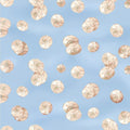 Cream sand dollar shells light blue beach quilting fabric coastal seaside ocean projects