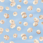 Cream sand dollar shells light blue beach quilting fabric coastal seaside ocean projects