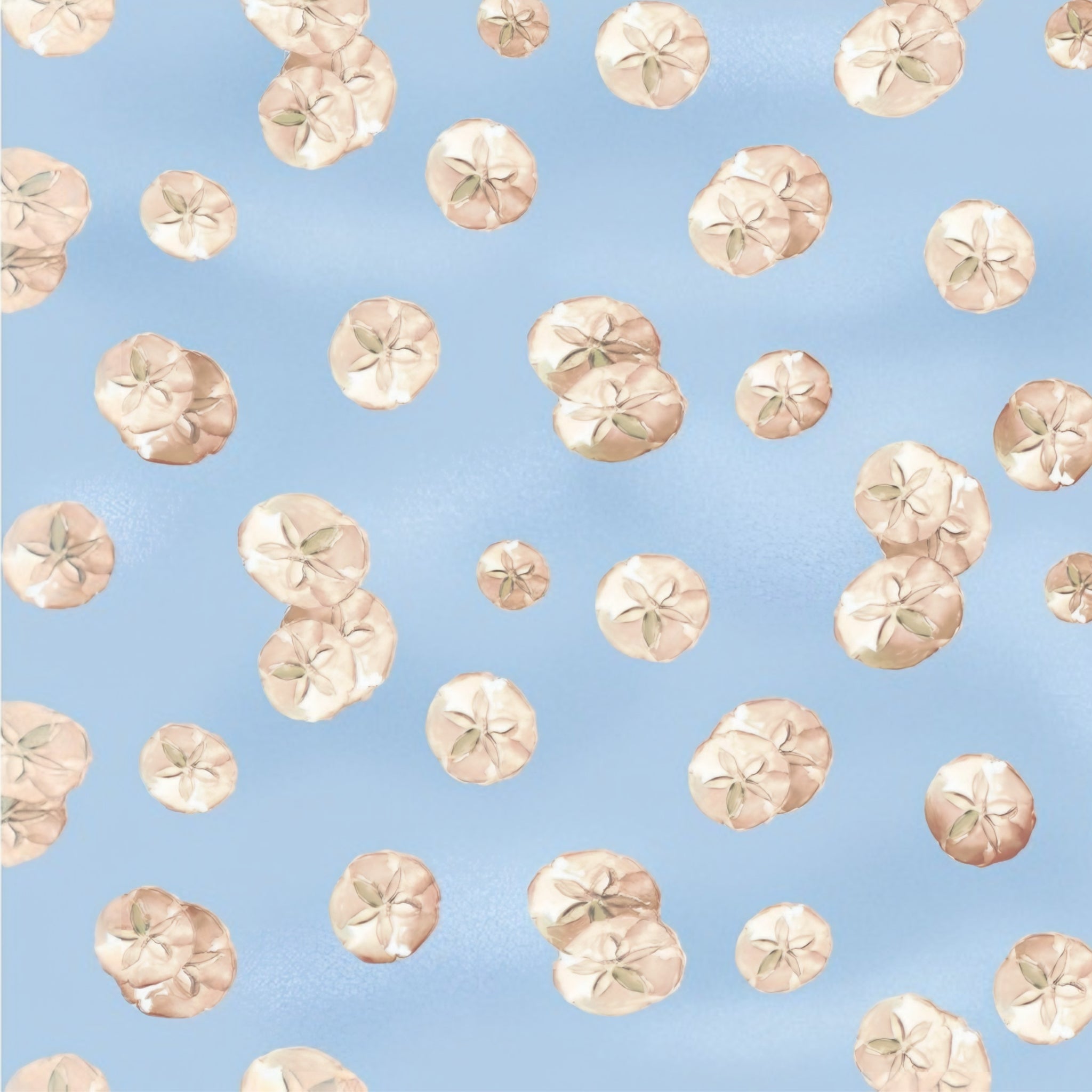 Cream sand dollar shells light blue beach quilting fabric coastal seaside ocean projects
