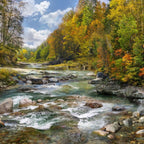 Call of the Wild nature landscape fabric panel digital print autumn trees river water blue sky cotton quilting Hoffman