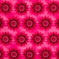 Tonal magenta floral quilting fabric mandala flowers hot pink for bright quilts sashing and pink colour scheme patchwork