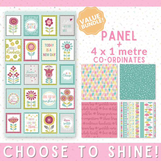 Choose to Shine Value Bundle: Panel & Coordinates