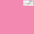 Rose pink plain solid quilting cotton fabric for patchwork quilts blenders and sewing projects Riley Blake Confetti Cotton C120-ROSE