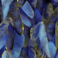 Navy and deep blue quilting fabric with a pattern of metallic gold dragonfly wings