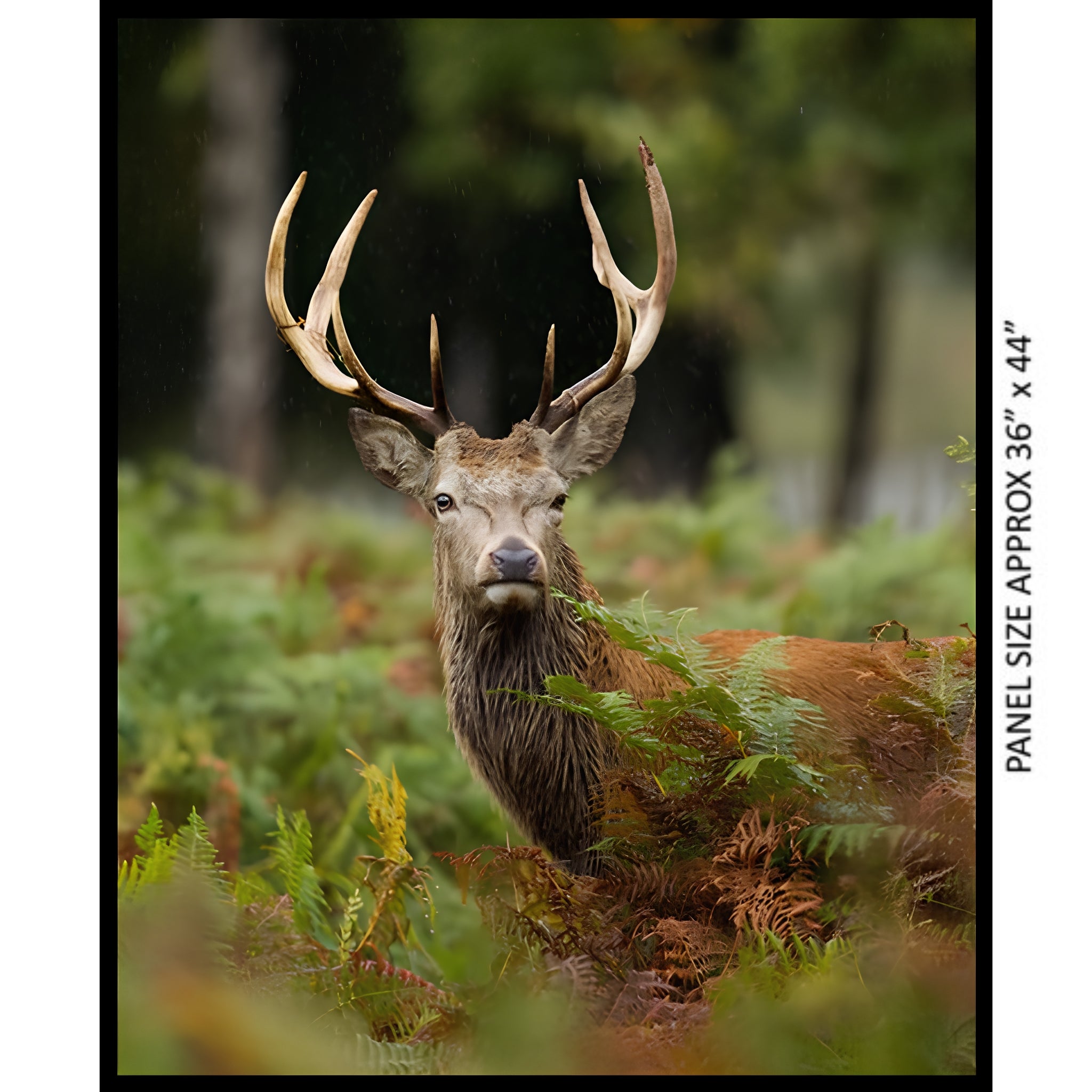 Australian deer stag antlers forest ferns realistic panel fabric for wildlife quilts wall hangings and nature patchwork projects