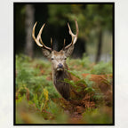 Australian deer stag antlers forest ferns realistic panel fabric for wildlife quilts wall hangings and nature patchwork projects