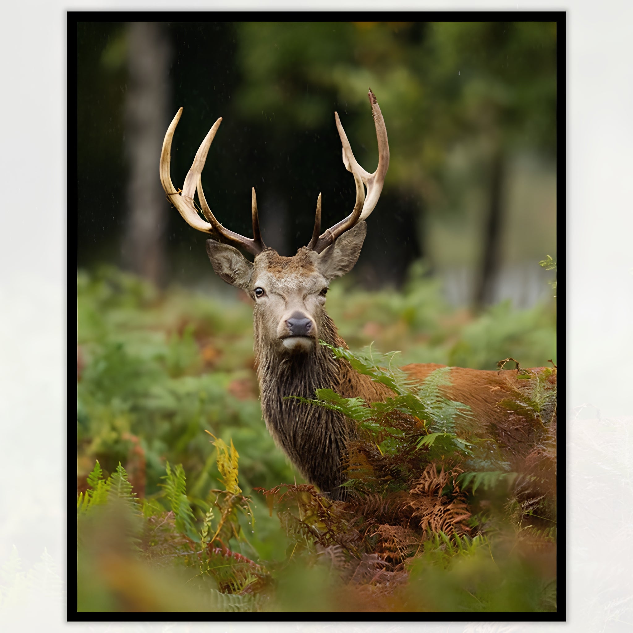 Australian deer stag antlers forest ferns realistic panel fabric for wildlife quilts wall hangings and nature patchwork projects
