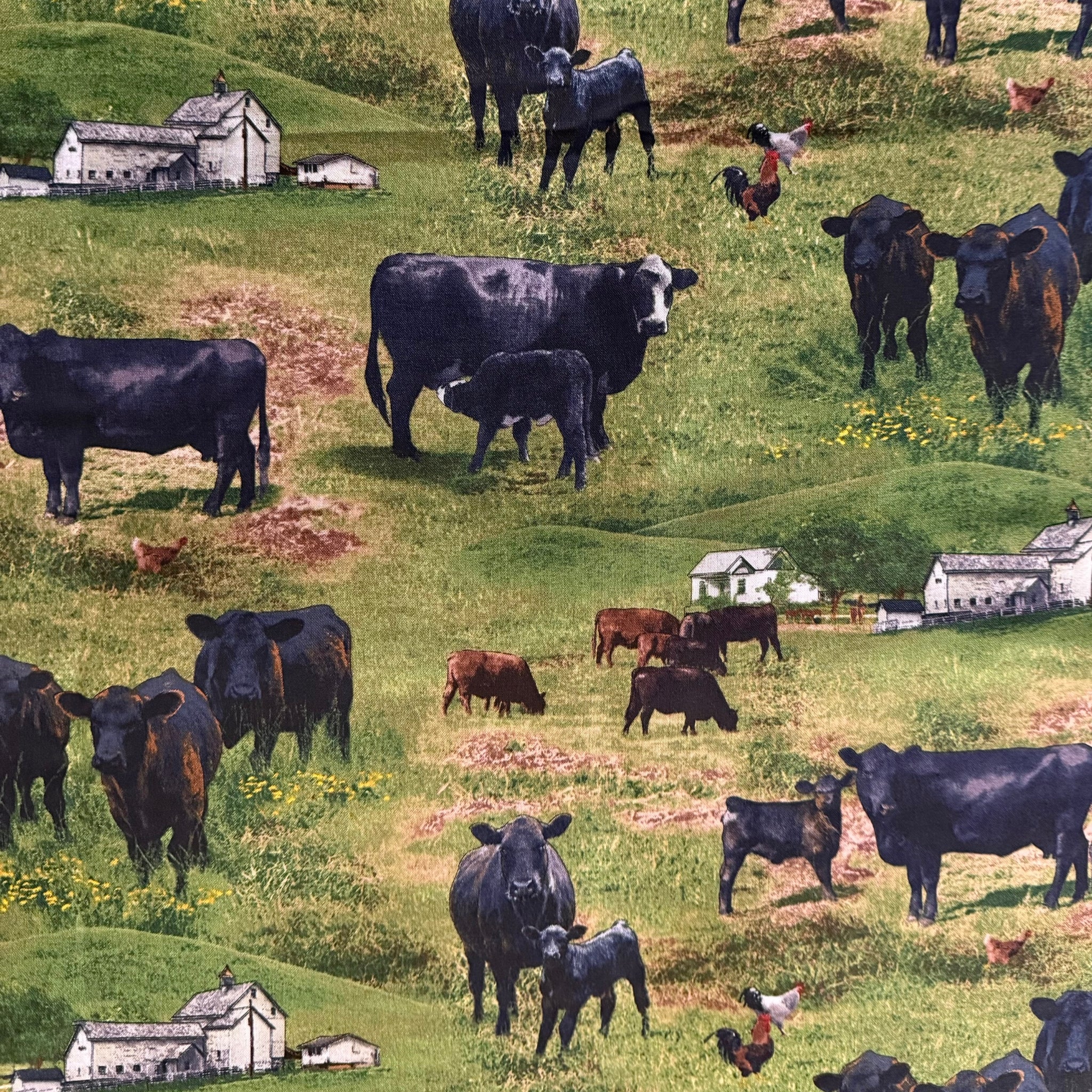 Black Angus cattle cows calves green paddock farm fabric for farm animal quilts country décor and farmer gifts