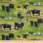 Black Angus cattle cows calves green paddock farm fabric for farm animal quilts country décor and farmer gifts