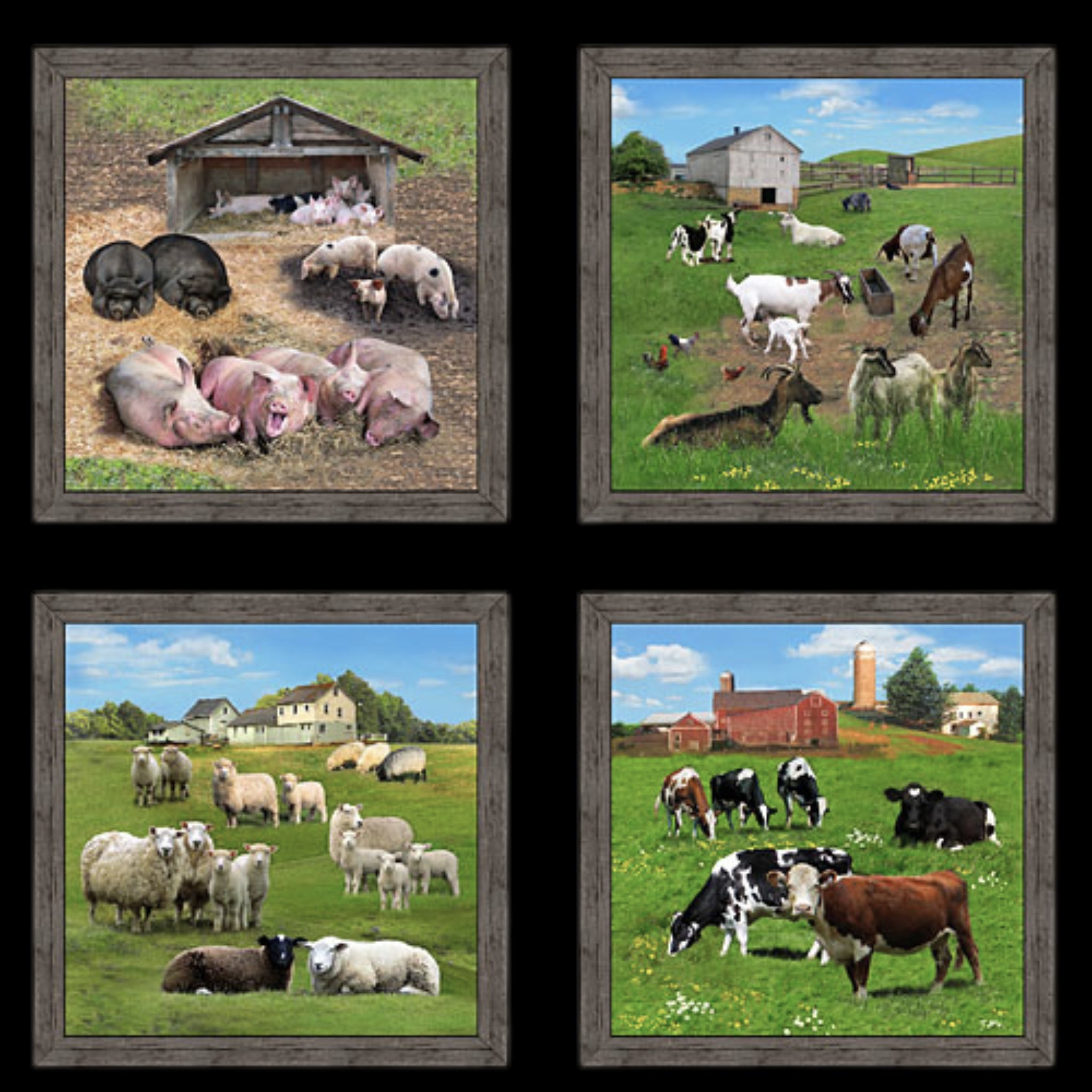Farm animals picture blocks sheep cows pigs goats realistic farm scenes black background quilting panel