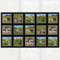 Farm animals block panel black background framed picture blocks horses cows sheep pigs goats chickens for quilts and wall hangings
