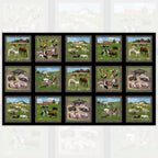 Farm animals block panel black background framed picture blocks horses cows sheep pigs goats chickens for quilts and wall hangings