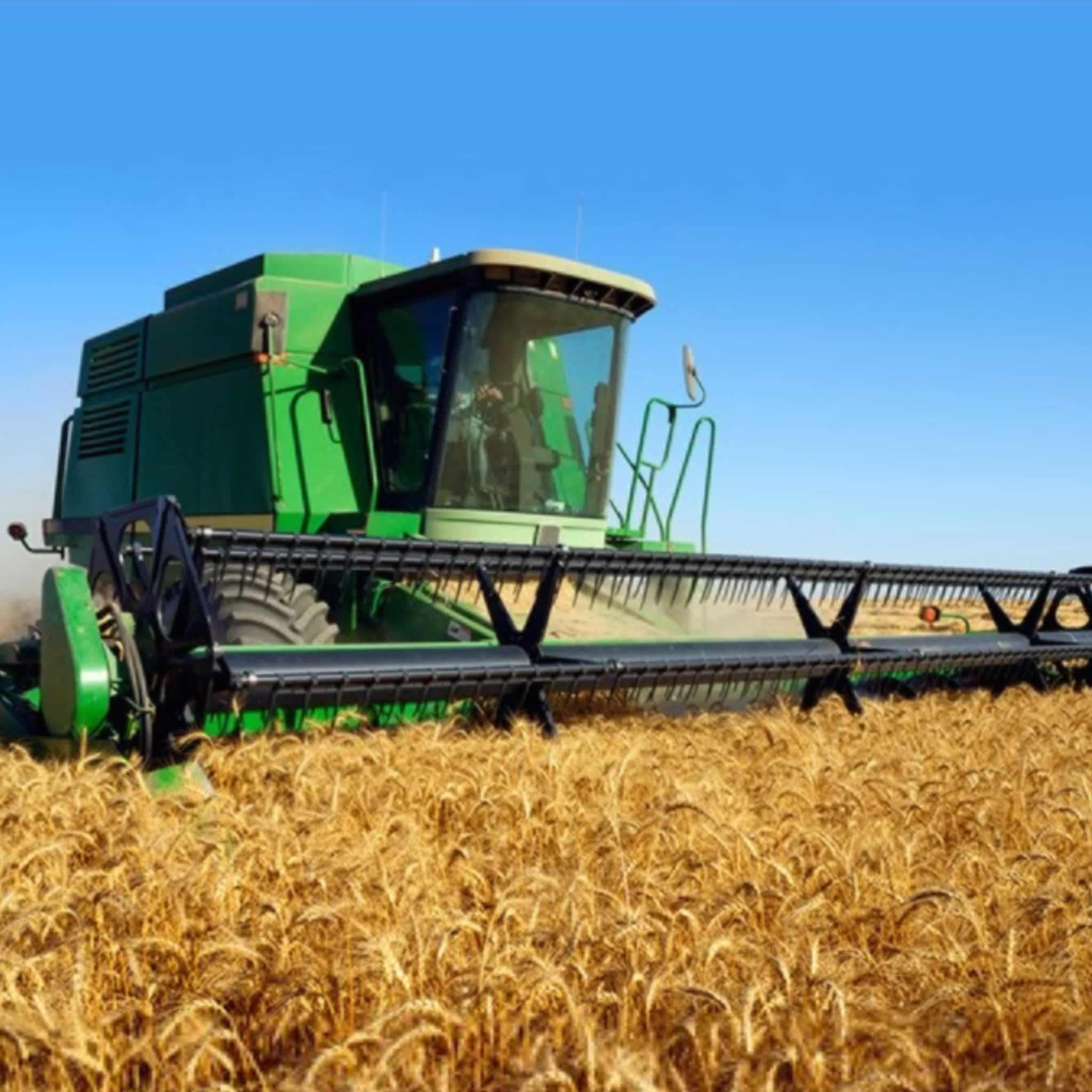 Green combine harvester in farm wheat field fabric panel perfect for boys' quilts and projects for farm lovers