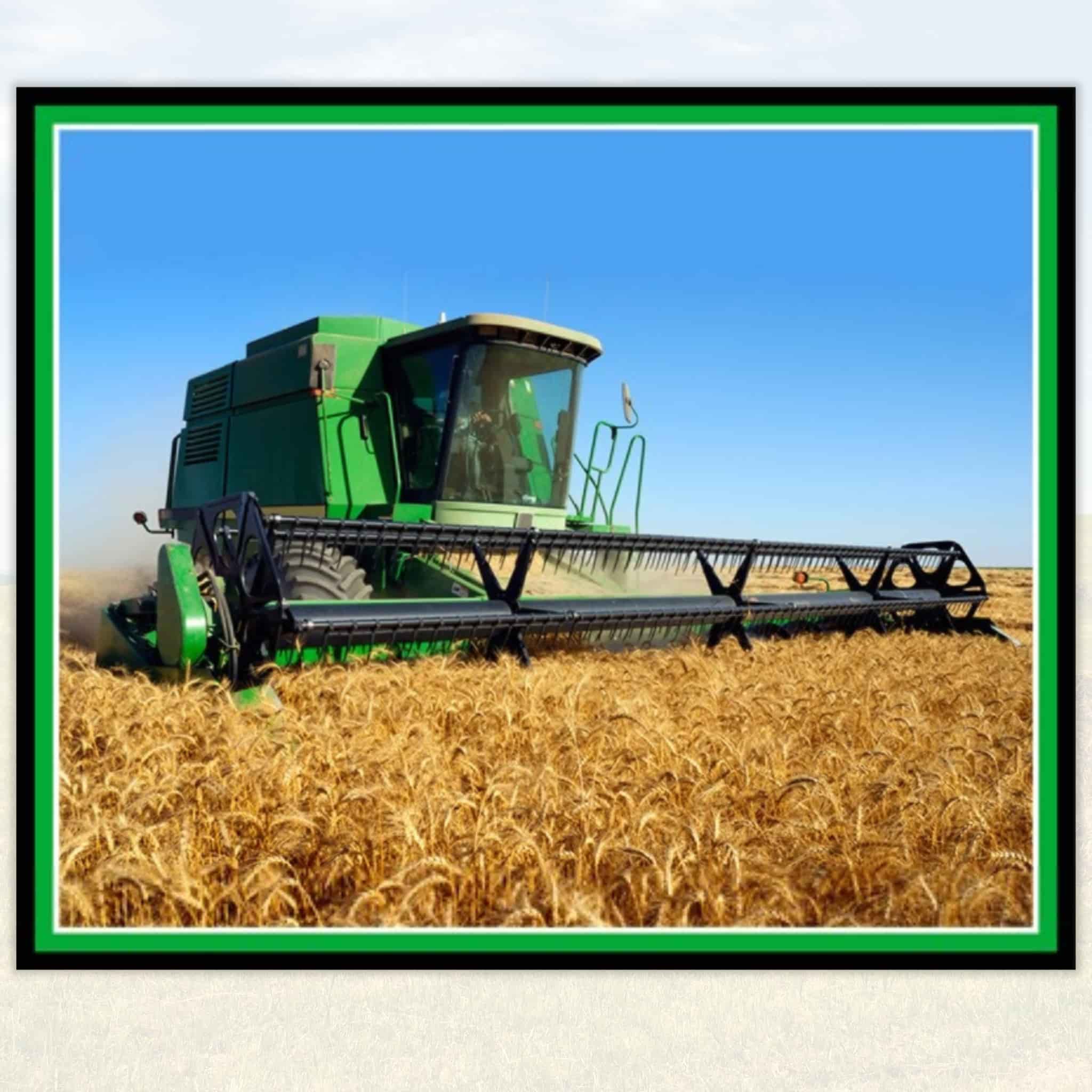 Green combine harvester in farm wheat field fabric panel perfect for boys' quilts and projects for farm lovers