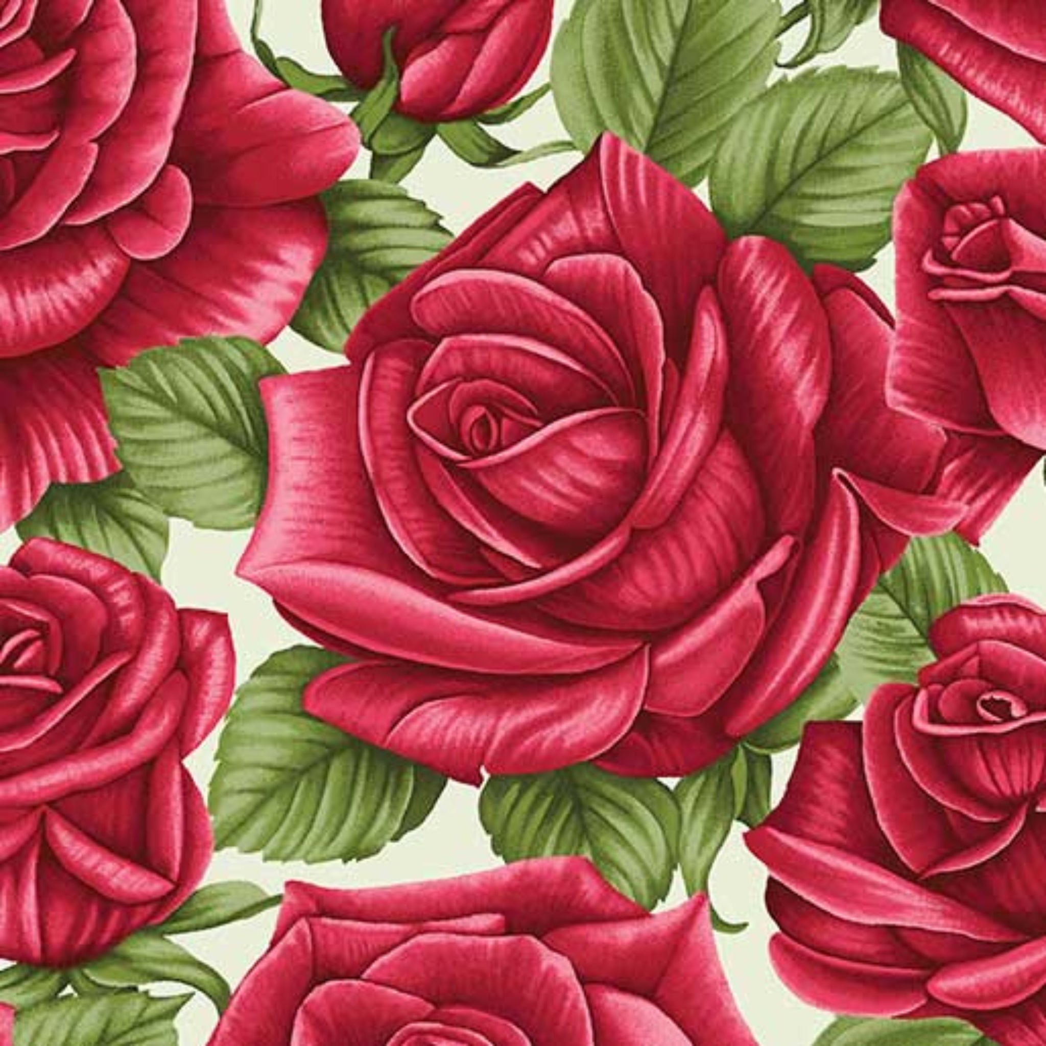 Large scale red roses green leaves cream background quilting cotton fabric for feature quilts borders and cushions