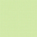 Flutter the Butterfly gingham check lime green white small scale blender quilting fabric baby quilts girls nursery coordinate
