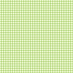 Flutter the Butterfly gingham check lime green white small scale blender quilting fabric baby quilts girls nursery coordinate