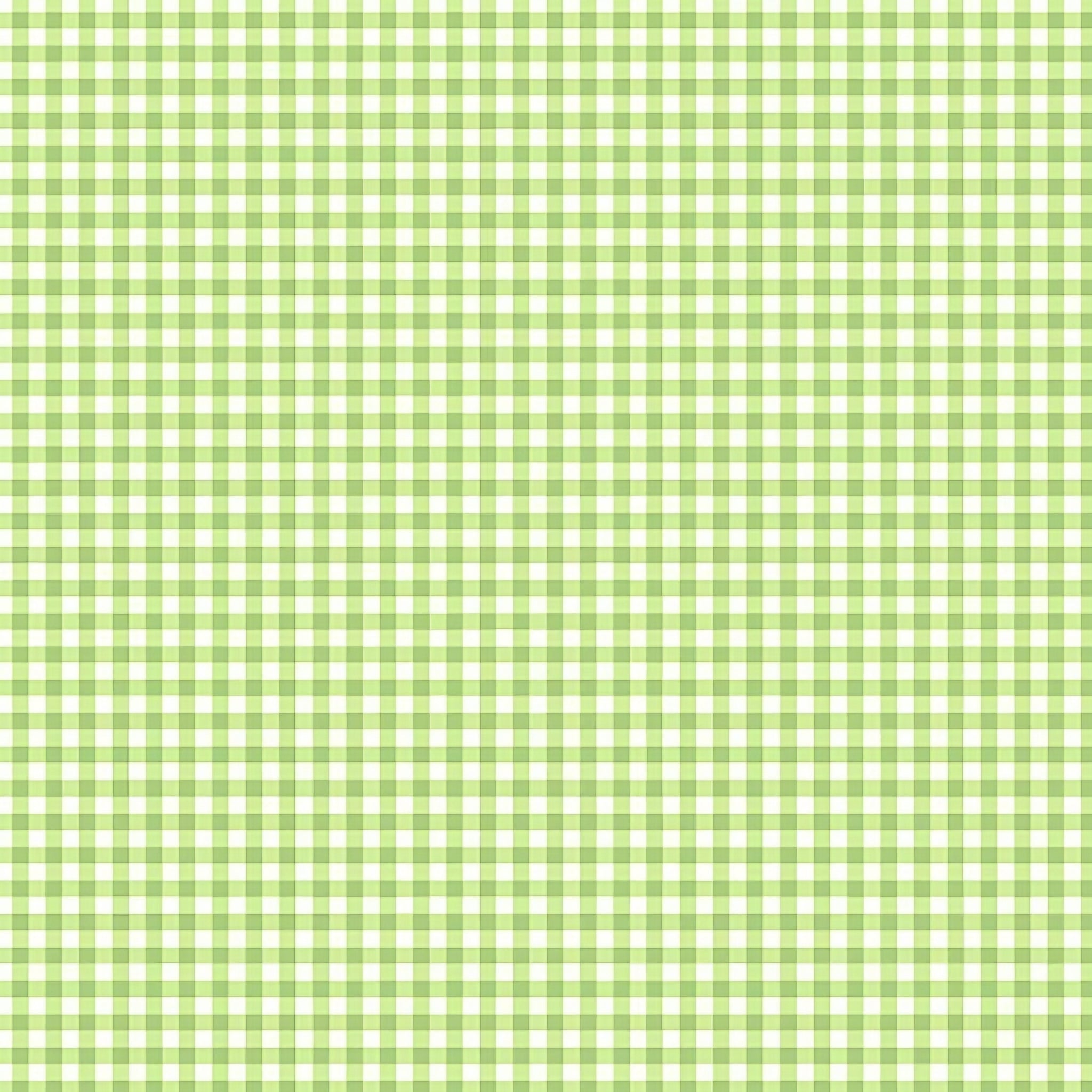 Flutter the Butterfly gingham check lime green white small scale blender quilting fabric baby quilts girls nursery coordinate