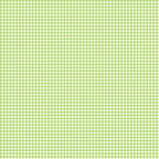 Flutter the Butterfly gingham check lime green white small scale blender quilting fabric baby quilts girls nursery coordinate