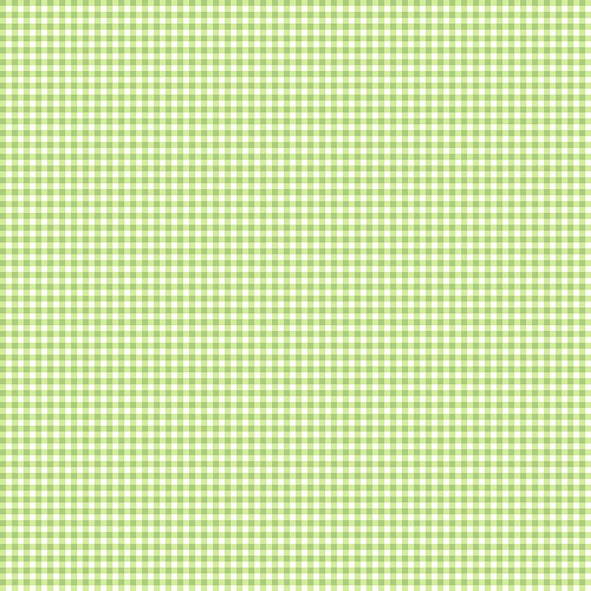 Flutter the Butterfly gingham check lime green white small scale blender quilting fabric baby quilts girls nursery coordinate