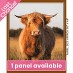 Homestead Bovine Highland Cow - KK Fabrics - Three Wishes Patchwork Fabric